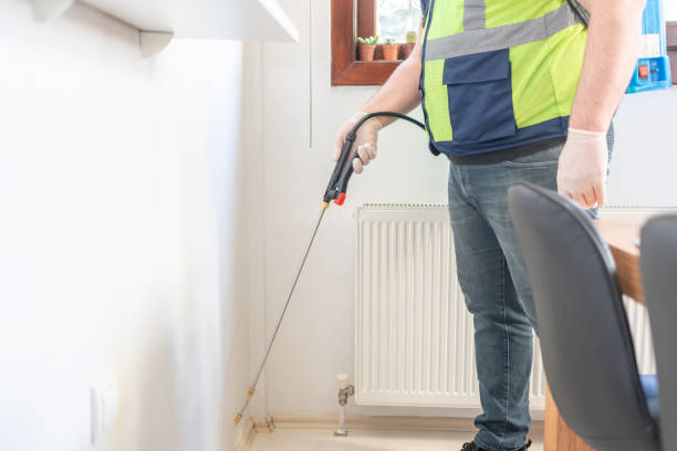 Best Local Pest Control Services  in Vincent, CA